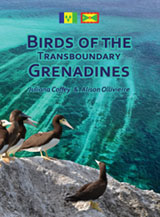 Birds of the Transboundary Grenadines Cover